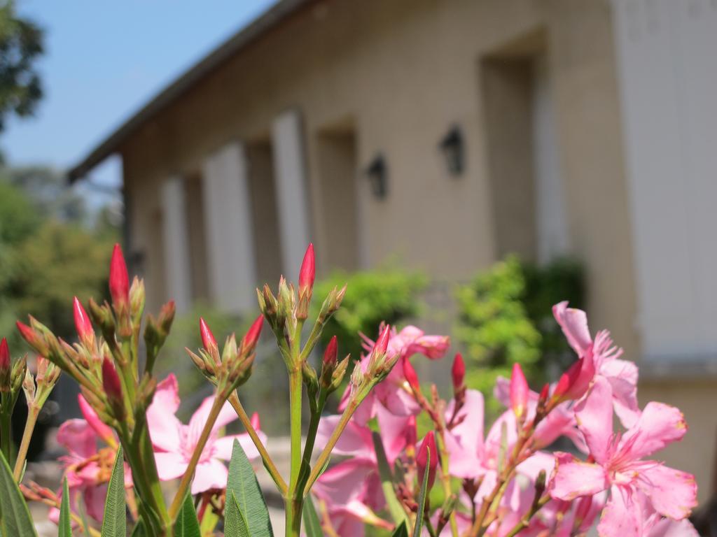 Les Communs Du Manoir Apartamento Écully Quarto foto