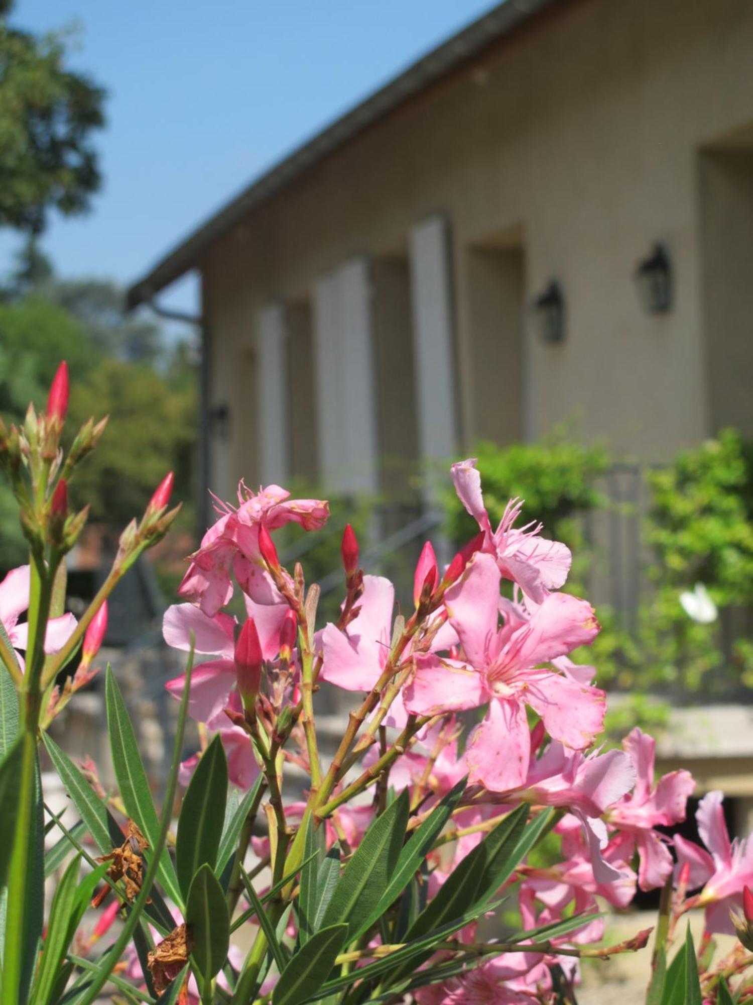Les Communs Du Manoir Apartamento Écully Quarto foto