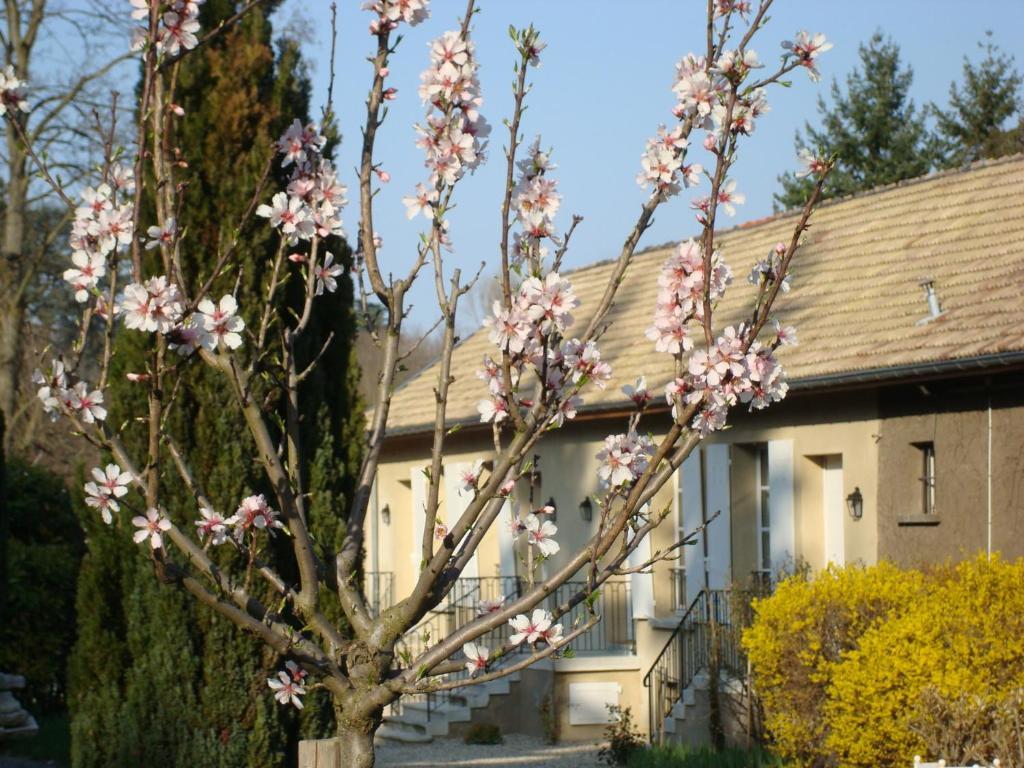 Les Communs Du Manoir Apartamento Écully Exterior foto